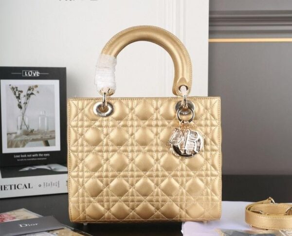 Dior Iconic Ladies’ Fashion Bag